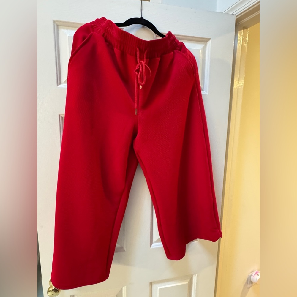 Entro Red Cropped Wide-Leg Pants; L